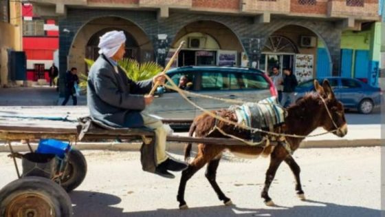 خريبكة: السلطات تطلق حملة تحسيسية استعدادًا للمرحلة الثانية من تنظيم العربات المجرورة