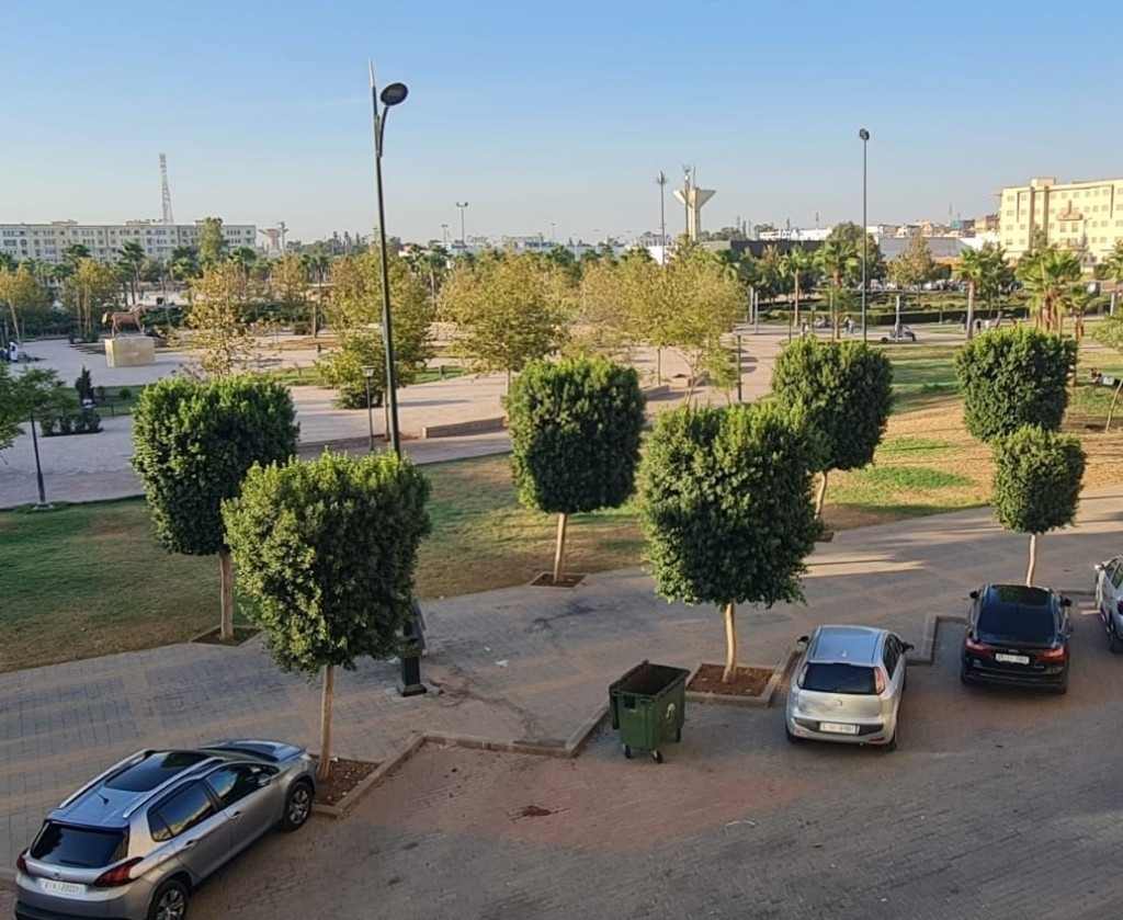 الأمن والسلطة الخريبكية: الصورة تشهد على إحباط الوقفة وغياب أي احتجاج بساحة الفردوس