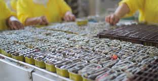 Sardines en conserve : le Maroc inonde le marché mondial et s’impose en leader incontesté