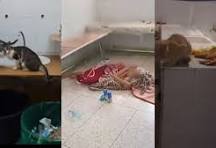 Santé publique ou calcul électoral ? Quand le ministre défie les lobbies des cliniques et du médicament