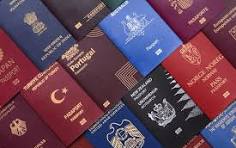 Millions envolés, nation bradée : quand certains patrons pillent les deniers publics pour s’acheter un passeport étranger